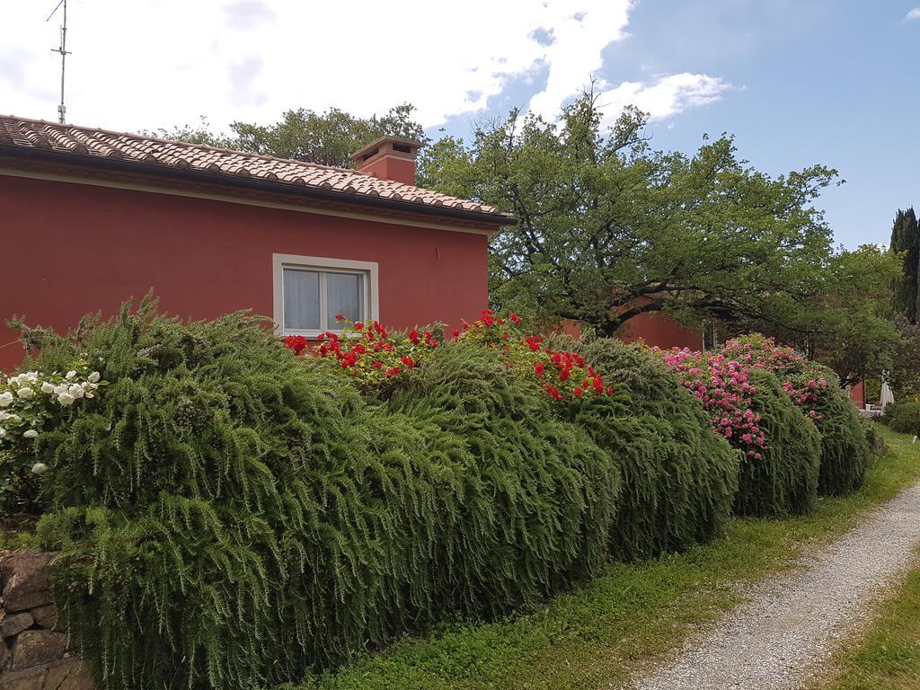 Tenuta Col Di Sasso Scarlino Ngoại thất bức ảnh