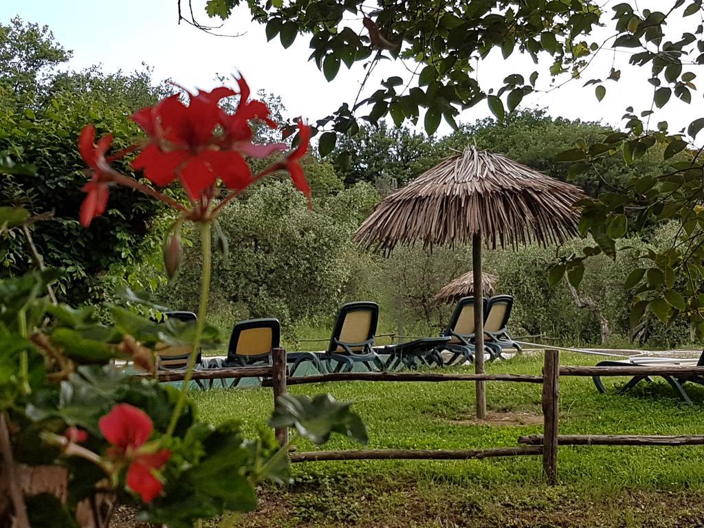 Tenuta Col Di Sasso Scarlino Ngoại thất bức ảnh