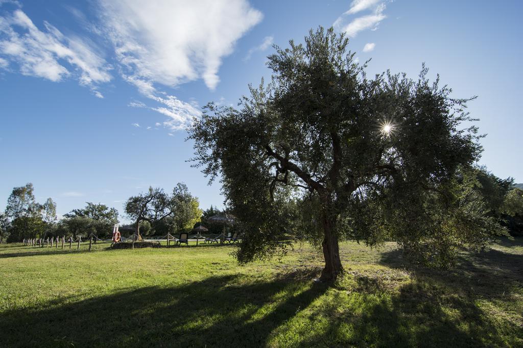 Tenuta Col Di Sasso Scarlino Ngoại thất bức ảnh