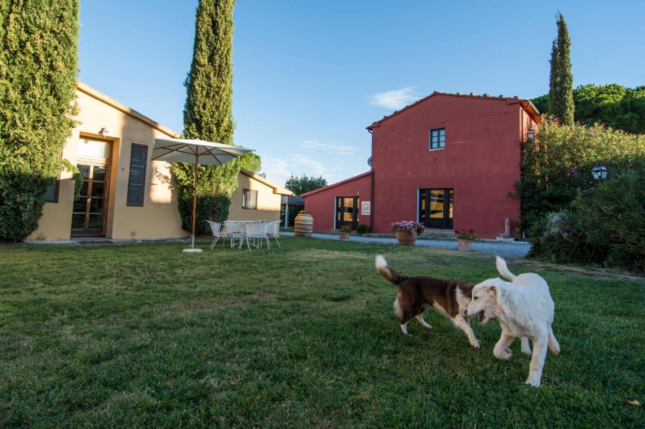 Tenuta Col Di Sasso Scarlino Ngoại thất bức ảnh