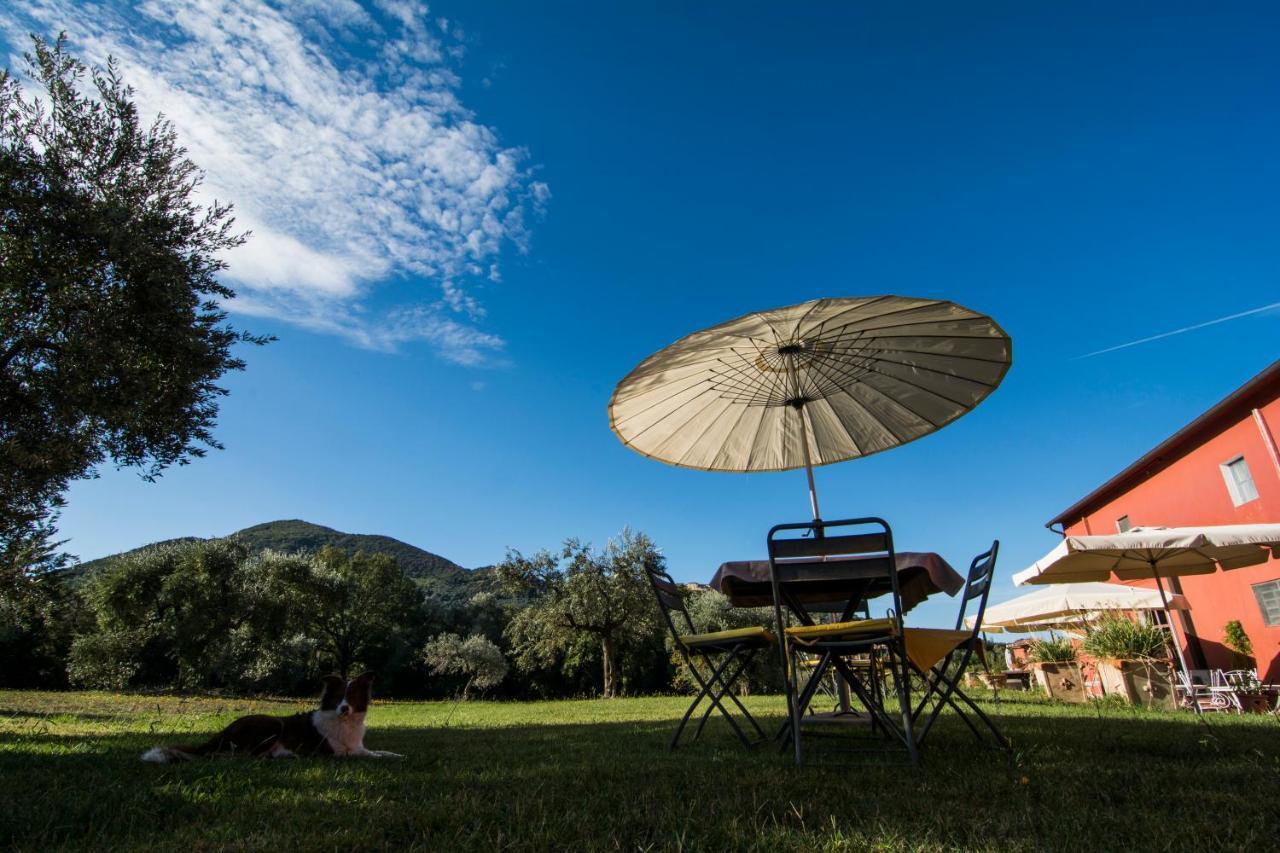 Tenuta Col Di Sasso Scarlino Ngoại thất bức ảnh