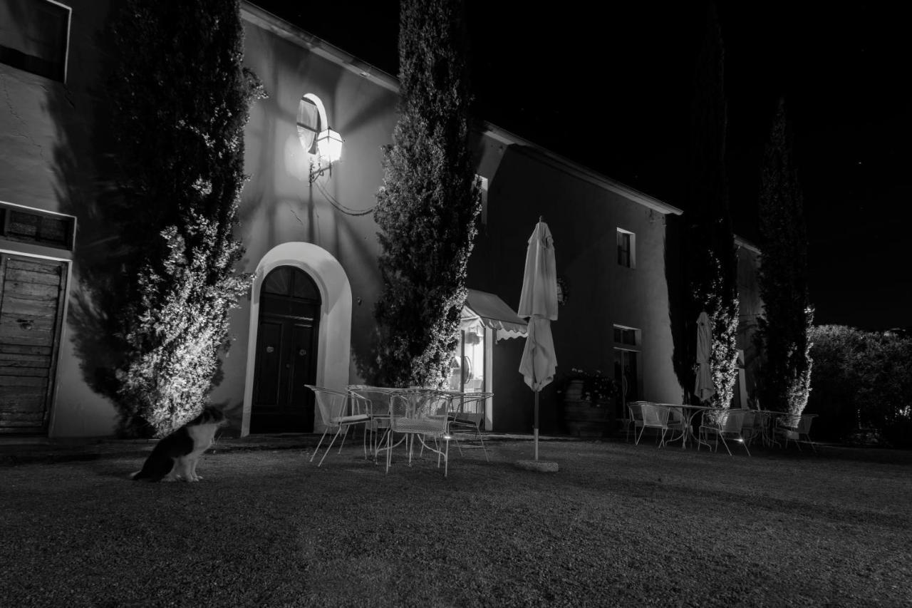 Tenuta Col Di Sasso Scarlino Ngoại thất bức ảnh