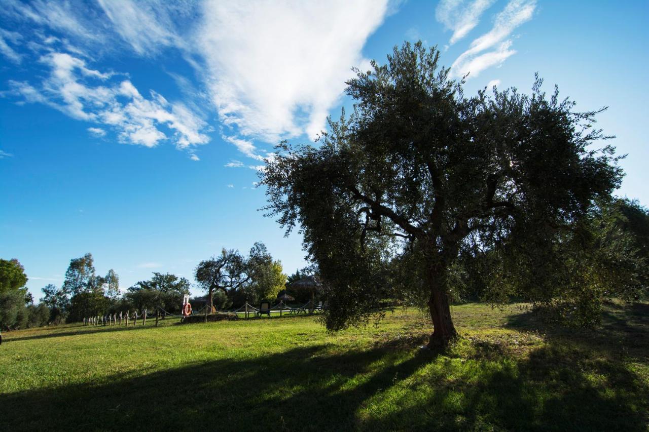 Tenuta Col Di Sasso Scarlino Ngoại thất bức ảnh
